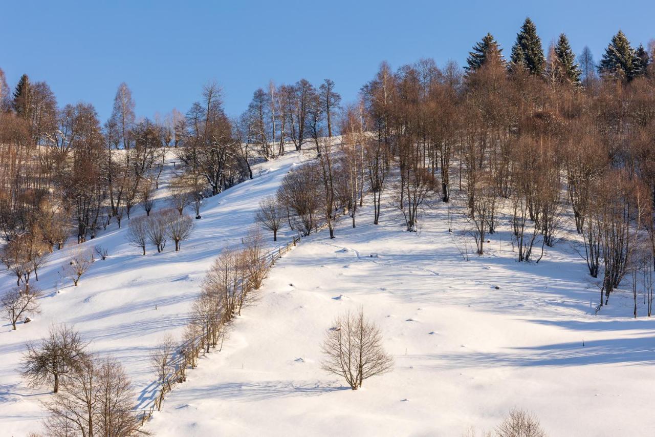 Casa Cu Salcami Villa Moieciu de Jos Buitenkant foto