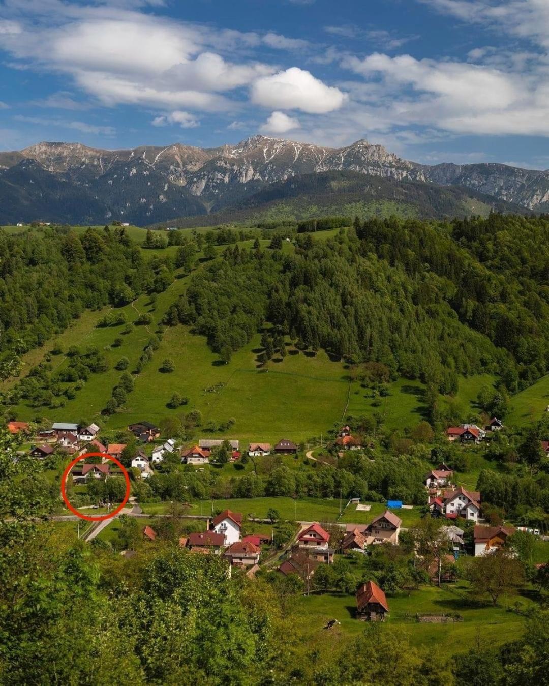 Casa Cu Salcami Villa Moieciu de Jos Buitenkant foto